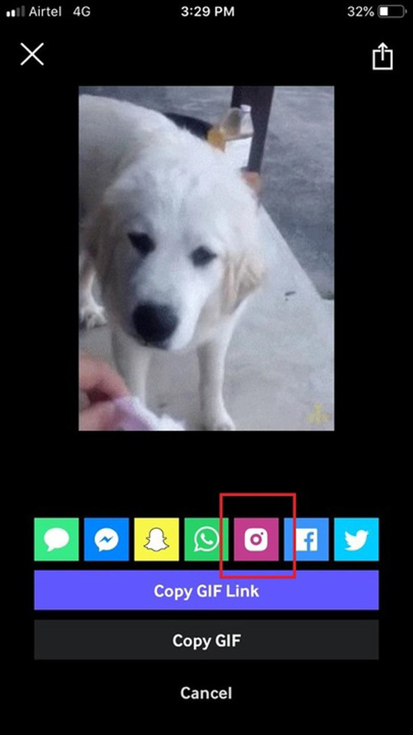 how-make-gif-instagram-fig-4-share-gif-giphy